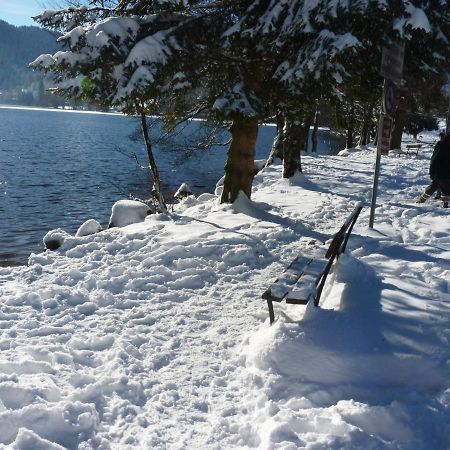 Studio Hauteur Gérardmer Екстериор снимка