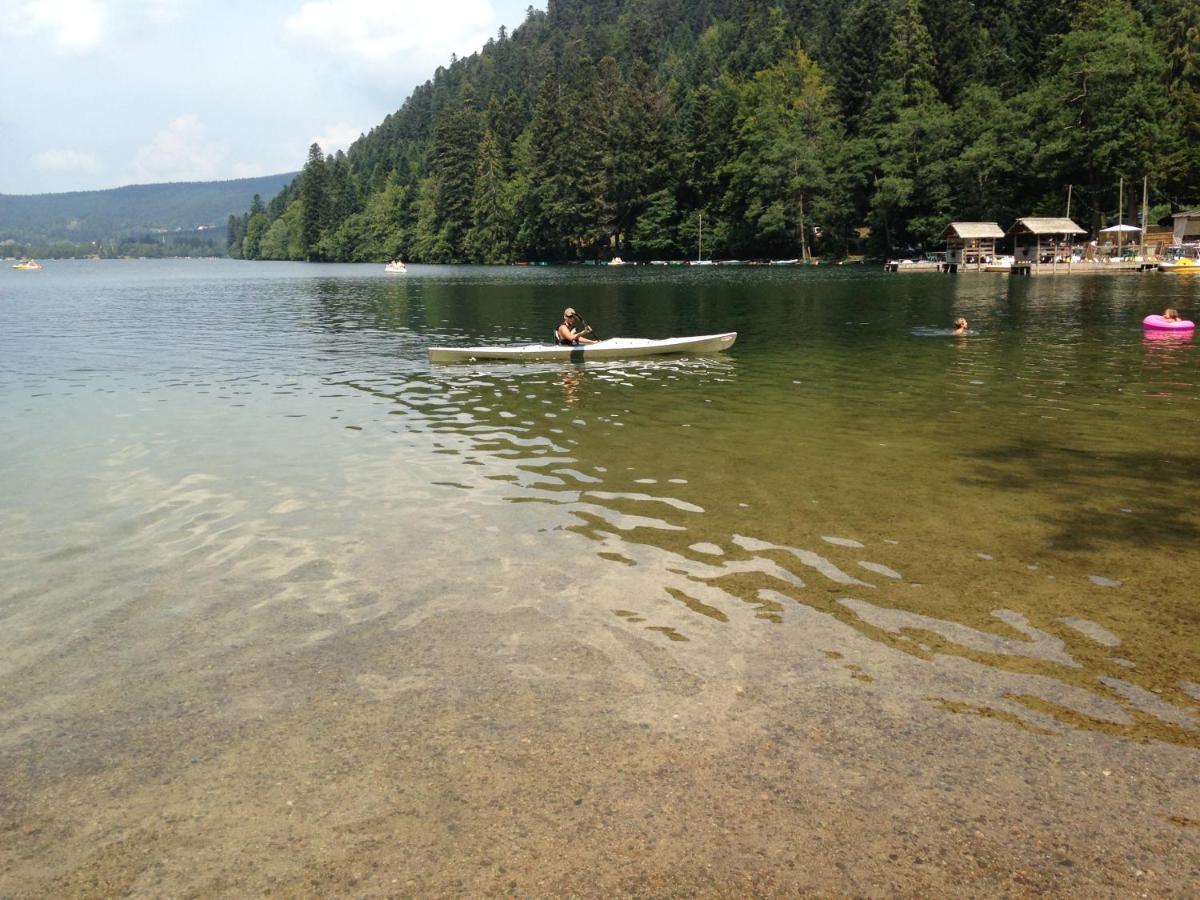 Studio Hauteur Gérardmer Екстериор снимка