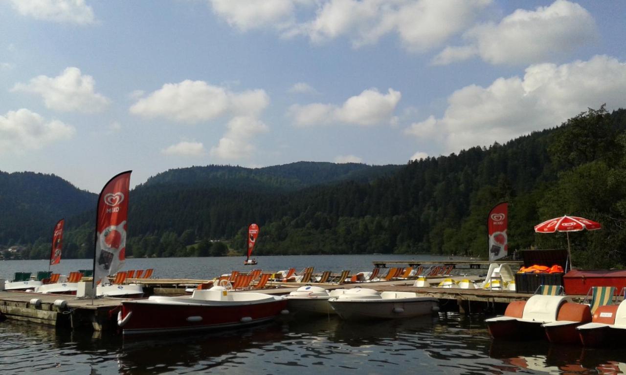 Studio Hauteur Gérardmer Екстериор снимка