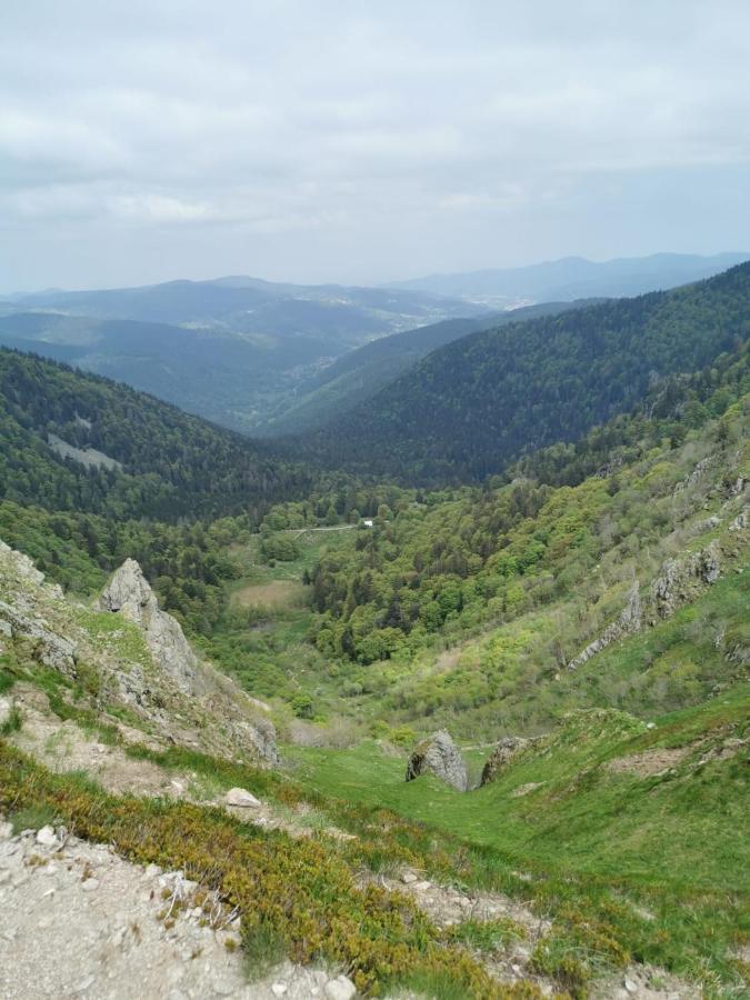 Studio Hauteur Gérardmer Екстериор снимка
