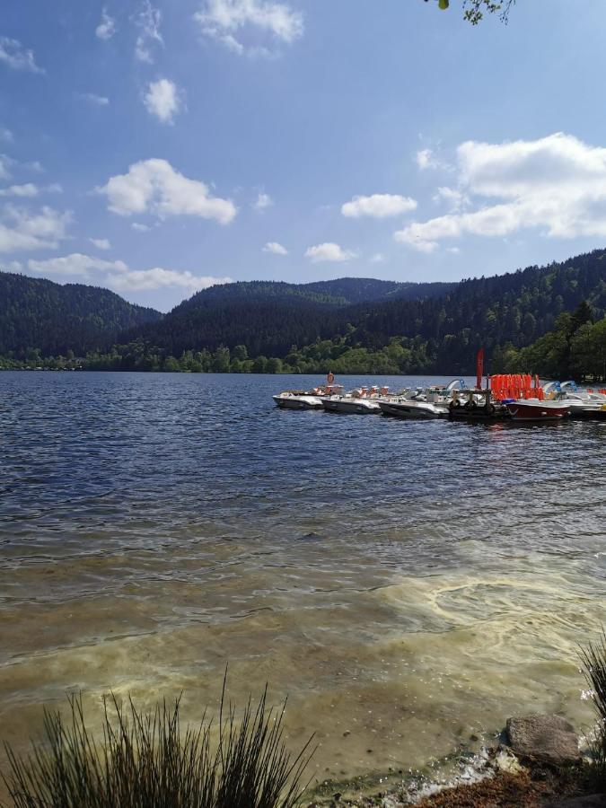 Studio Hauteur Gérardmer Екстериор снимка